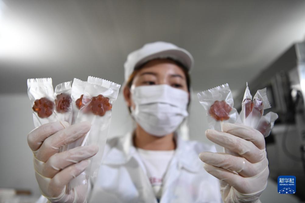 澳门新葡萄金